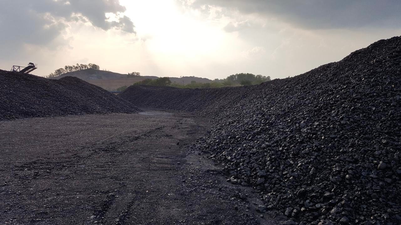 Coal stockyard in Indonesia